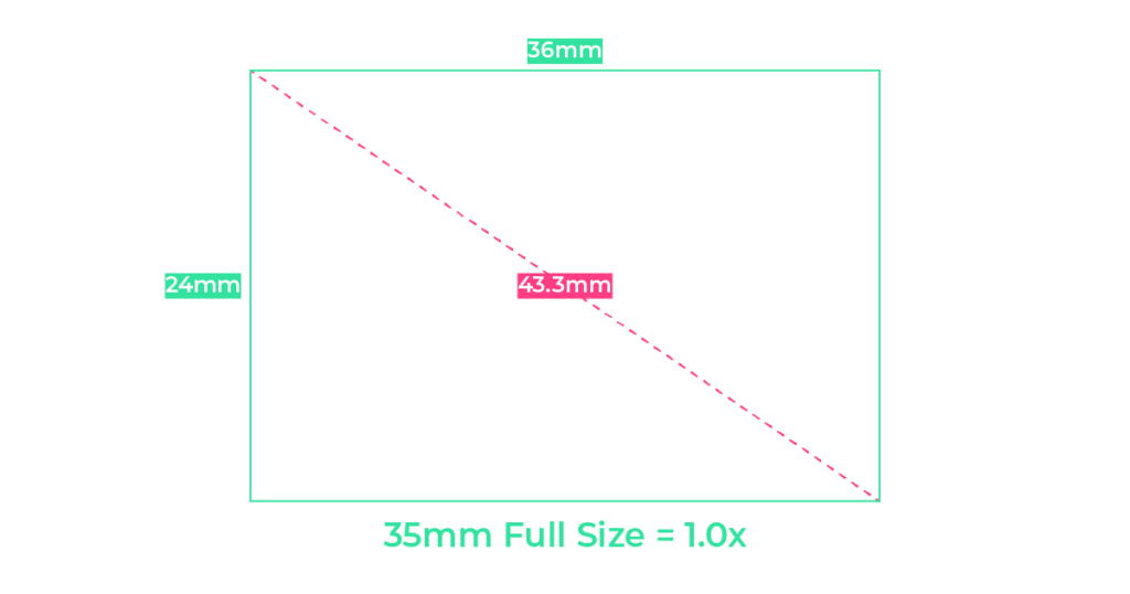 CROP SIZE